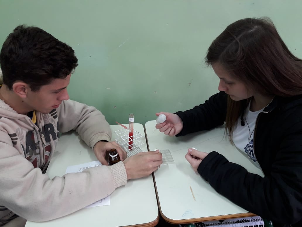 Aprendendo Sistema Sanguíneo ABO na prática: uma atividade de alunos dos Colégio Estadual Francisco Carneiro Martins