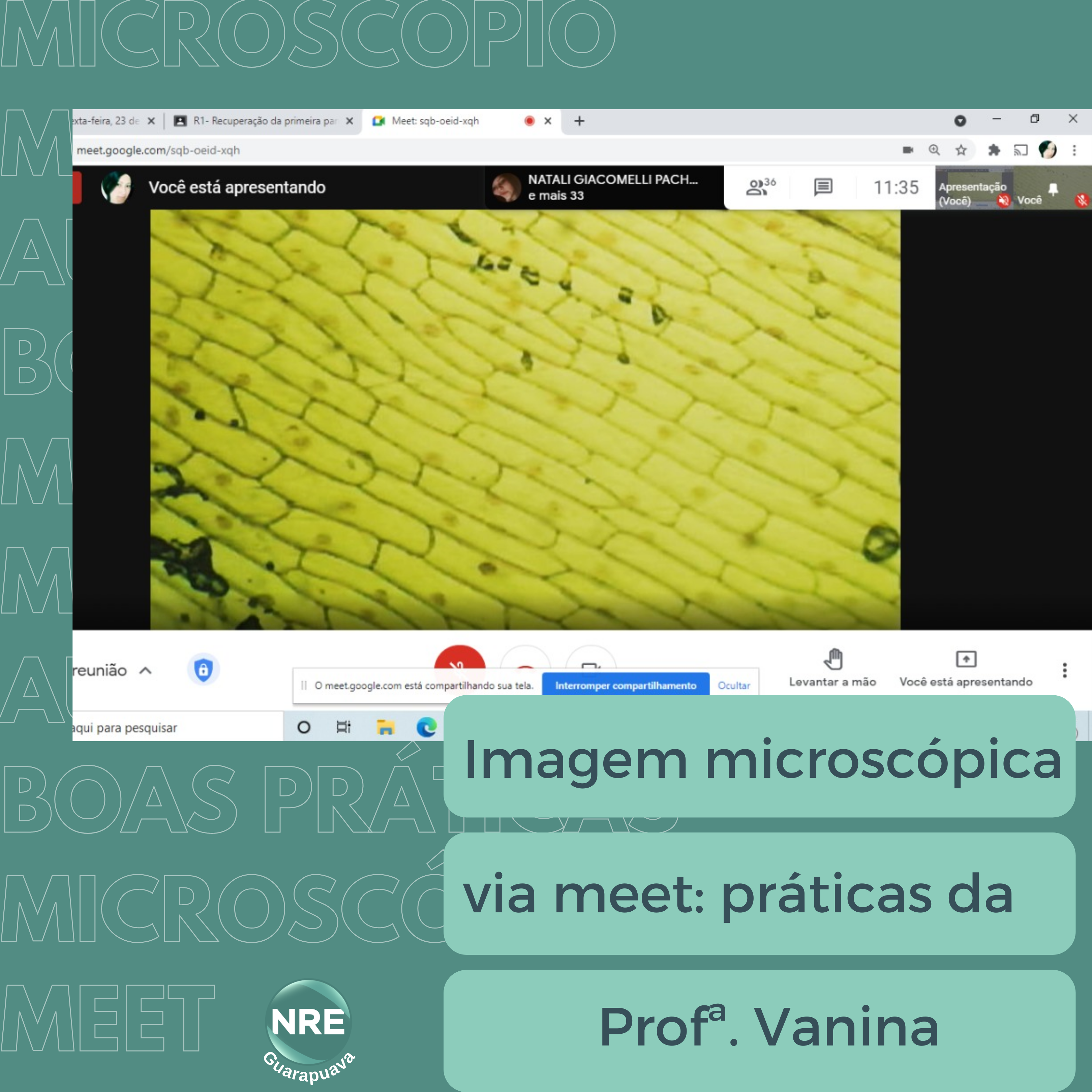 Aula de microscopia