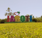 Jaboti