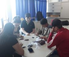 Aula de Biologia com a utilização do método de “Lincoln & Petersen”