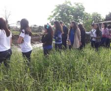 Alunos do curso Técnico em Meio Ambiente realizam saída de campo