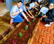 Projeto de jardinagem