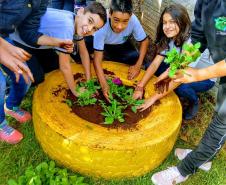Projeto de jardinagem