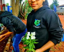 Projeto de jardinagem