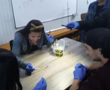 Alunos aprendem na prática como laboratórios realizam testes para determinação de fator Rh e sistema ABO