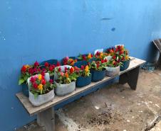 Matemática, Ciências, reciclagem, flores e muito aprendizado!