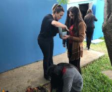 Matemática, Ciências, reciclagem, flores e muito aprendizado!