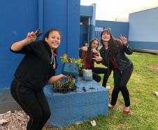 Matemática, Ciências, reciclagem, flores e muito aprendizado!