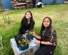 Matemática, Ciências, reciclagem, flores e muito aprendizado!