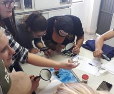 Alunos do 2º Ano em aula de campo.