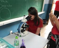 Aula prática sobre células; uma dinâmica para facilitar a aprendizagem em sala de aula.