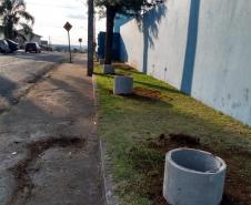 Projeto de Paisagismo e Jardinagem no Ambiente Escolar do Colégio Estadual Professor Amarílio.
