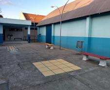 Projeto de Paisagismo e Jardinagem no Ambiente Escolar do Colégio Estadual Professor Amarílio.
