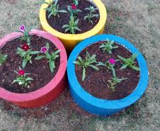 Projeto de Paisagismo e Jardinagem no Ambiente Escolar do Colégio Estadual Professor Amarílio.