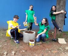 Projeto de Paisagismo e Jardinagem no Ambiente Escolar do Colégio Estadual Professor Amarílio.