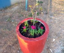 Projeto de Paisagismo e Jardinagem no Ambiente Escolar do Colégio Estadual Professor Amarílio.