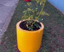 Projeto de Paisagismo e Jardinagem no Ambiente Escolar do Colégio Estadual Professor Amarílio.