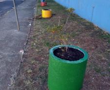 Projeto de Paisagismo e Jardinagem no Ambiente Escolar do Colégio Estadual Professor Amarílio.