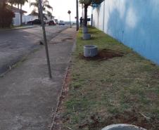 Projeto de Paisagismo e Jardinagem no Ambiente Escolar do Colégio Estadual Professor Amarílio.