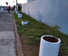 Projeto de Paisagismo e Jardinagem no Ambiente Escolar do Colégio Estadual Professor Amarílio.
