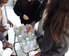 O lúdico nas aulas de ciências: aprendendo sobre cadeias e teias alimentares.