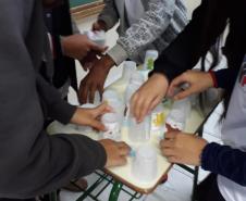 O lúdico nas aulas de ciências: aprendendo sobre cadeias e teias alimentares.