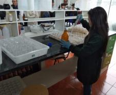 Alunos do curso Técnico em Química em visita a Solum Brasilis.