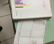 Nivelamento de aprendizagem com análise dos Descritores da Prova Paraná: uma prática de sucesso nas aulas de Química.