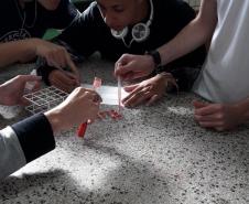 Aprendendo Sistema Sanguíneo ABO na prática: uma atividade de alunos dos Colégio Estadual Francisco Carneiro Martins
