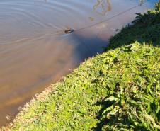 Alunos do curso Técnico em Meio Ambiente realizam coleta de material no Parque do Lago