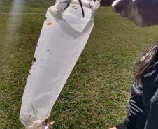 Alunos do curso Técnico em Meio Ambiente realizam coleta de material no Parque do Lago