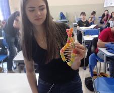 Alunos das 1ª Séries, do Colégio Estadual de Educação Profissional Arlindo Ribeiro - Agrícola, aprendem sobre genética de forma lúdica.