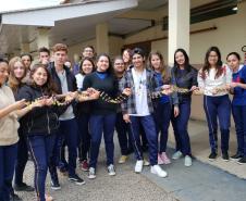 Montagem de fita de DNA com balas de goma: aprendendo na prática.