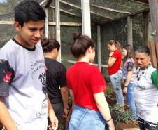 Aula de campo na disciplina de Sociologia: uma visita à ONG Outro Olhar.