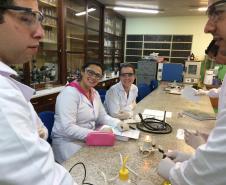Química