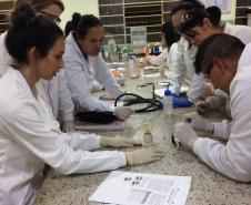 Quimica