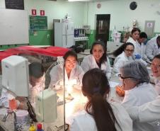 Quimica