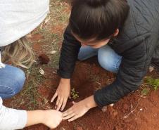 Instituições de Ensino do NRE Guarapuava participam do Programa Paraná Mais Verde