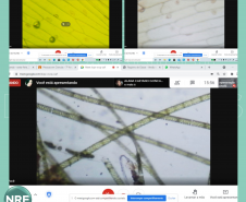 Aula de microscopia