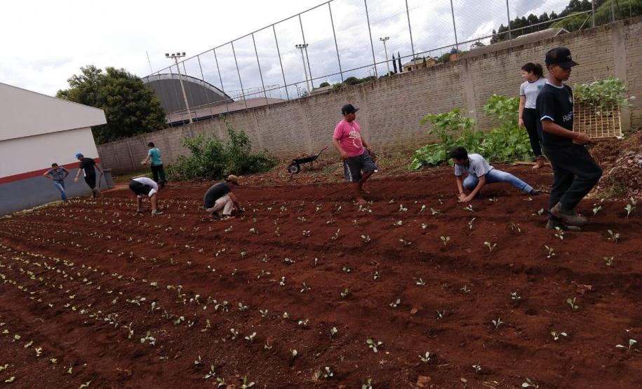 O trabalho continua... cuidando do solo.