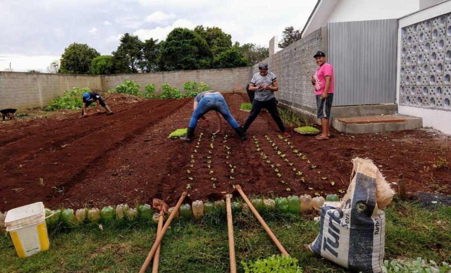 Desenvolvendo atividades na horta