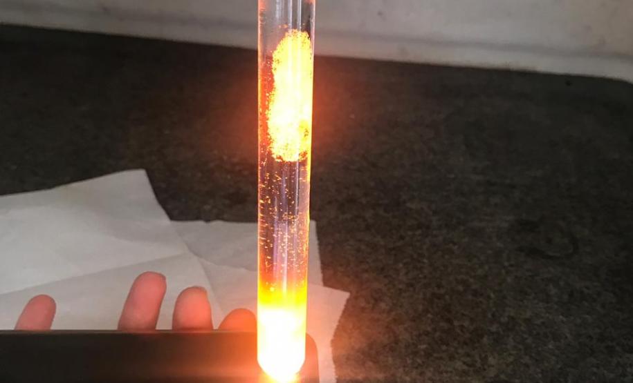 Alunos do Colégio Estadual João Ferreira Neves em aula prática, no Centro Universitário Campo Real.