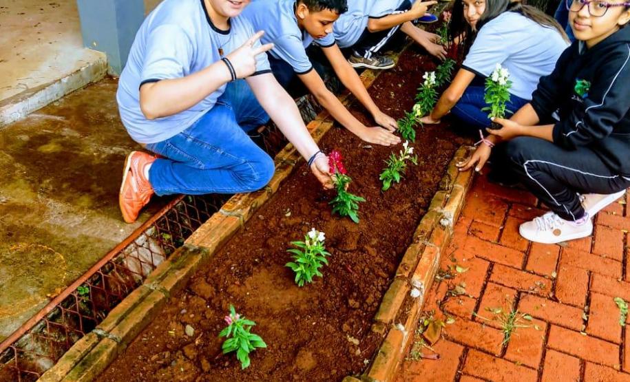 Projeto de jardinagem