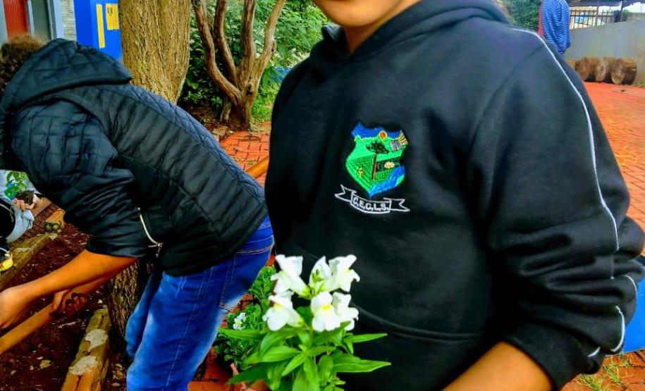 Projeto de jardinagem