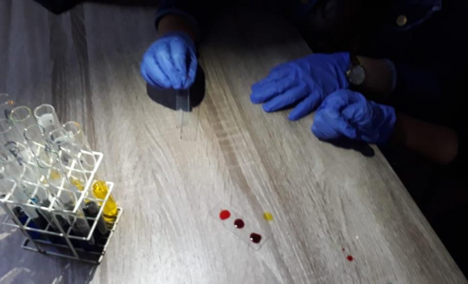 Alunos aprendem na prática como laboratórios realizam testes para determinação de fator Rh e sistema ABO