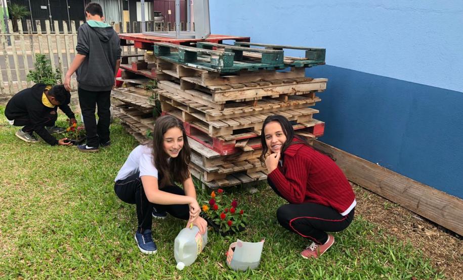 Matemática, Ciências, reciclagem, flores e muito aprendizado!