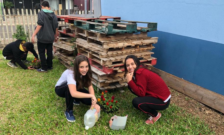 Matemática, Ciências, reciclagem, flores e muito aprendizado!