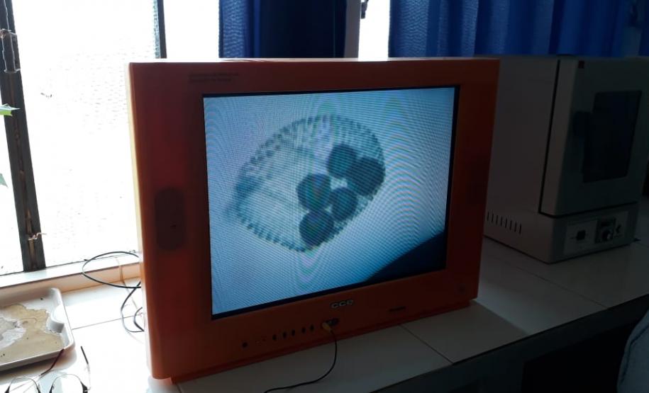 Alunos do 2º Ano em aula de campo.