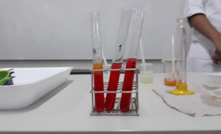 Aula prática sobre a atividade de enzimas proteolíticas extraídas de frutos.
