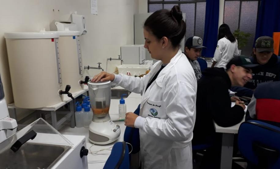 Aula prática sobre a atividade de enzimas proteolíticas extraídas de frutos.